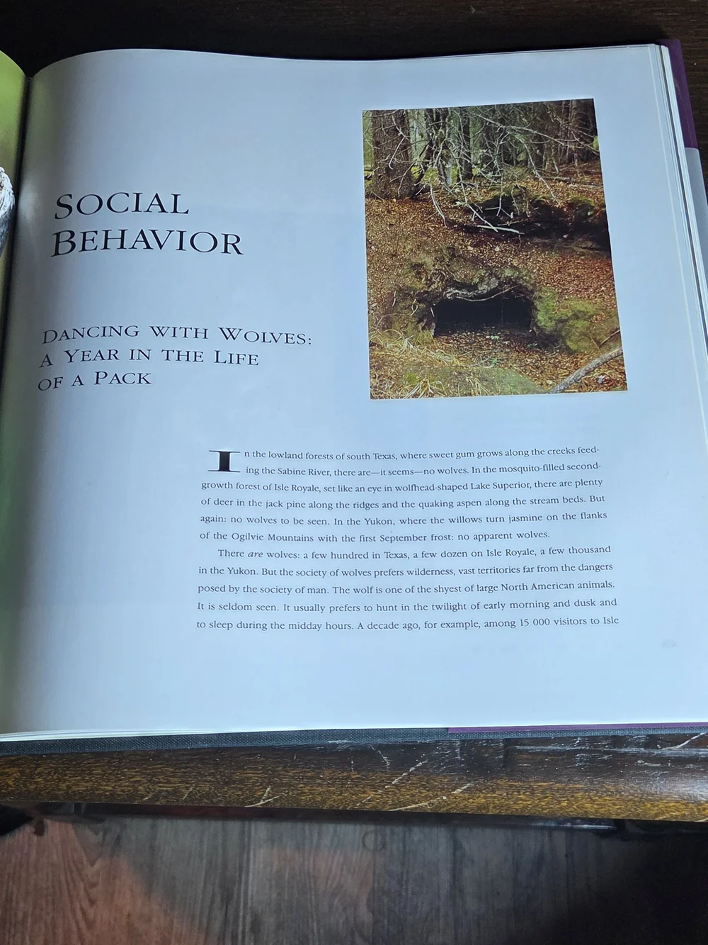 Wolves by – Purple Cover Coffee Table Book
